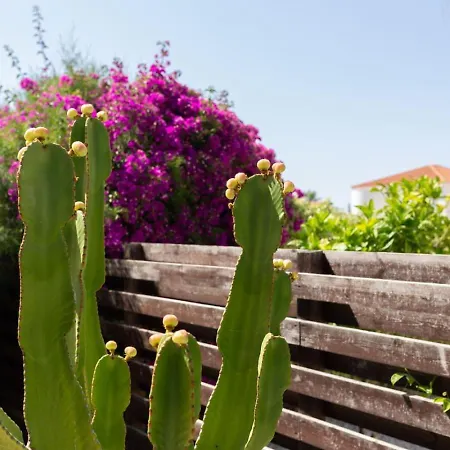 - 3br Romantic Retreat Near Coral Bay